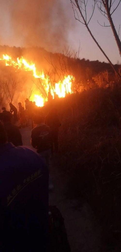 狮子山爆料视频最新,最新热点事件深度解析  第3张